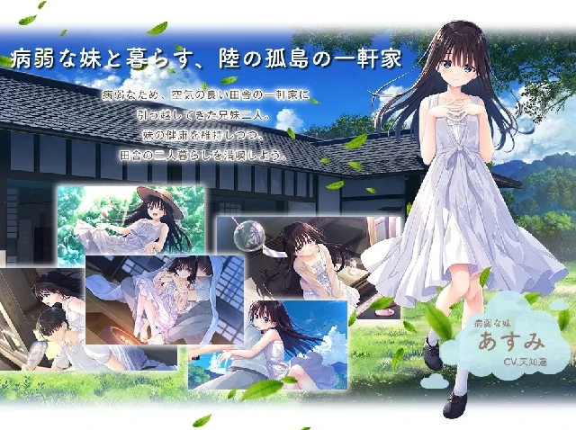 PC电脑[爆款RPG/中文/全CV]痴情哥哥与病弱妹妹的乡间生活-次元总站