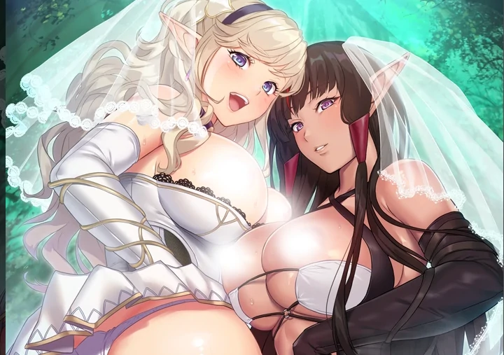 安卓+电脑【ADV/动态/全CV]嫁婚推奖 Ty模拟器玩-次元总站