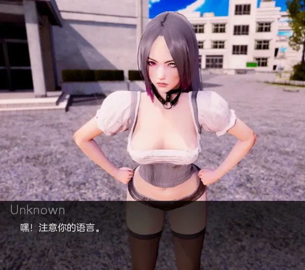 安卓+电脑【神作后宫SLG 动态]深度觉醒-完结-次元总站