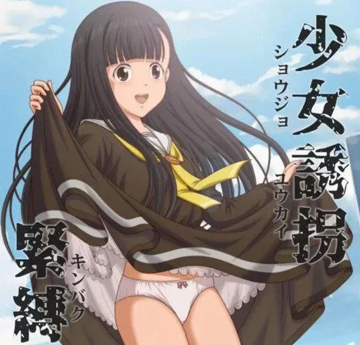 安卓+电脑【互动SLG/捆绑/不限语种】少女紧缚 骑-次元总站