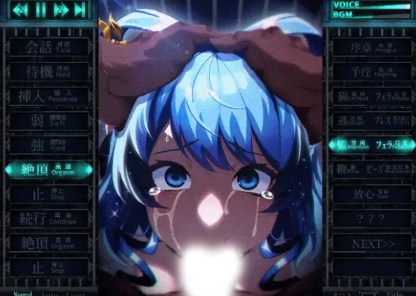 图片[4]-安卓+电脑【爆款SLG/全动态】惩罚少女R おしおき娘々R Ver1.3 CG视频-次元总站