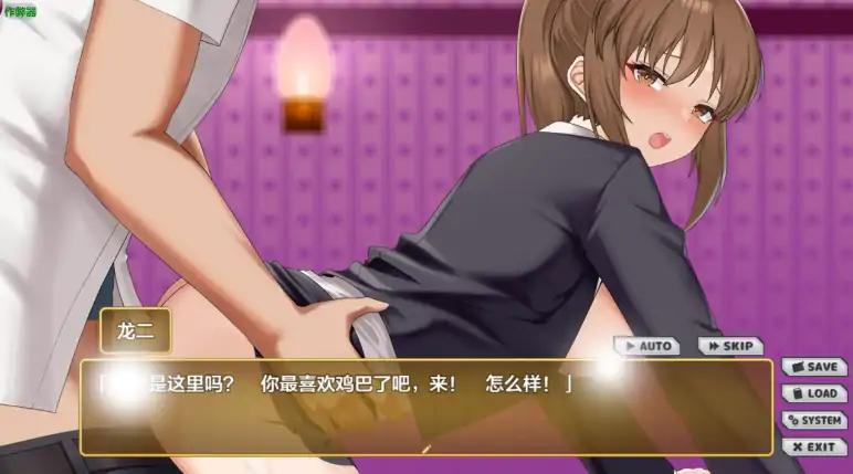 图片[5]-安卓+电脑【SLG/CV/作弊】NTR女主角 姬子 -秘密的学园性生活-次元总站