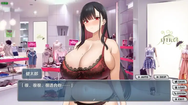 图片[6]-安卓+电脑【SLG/CV/作弊】NTR女主角 姬子 -秘密的学园性生活-次元总站